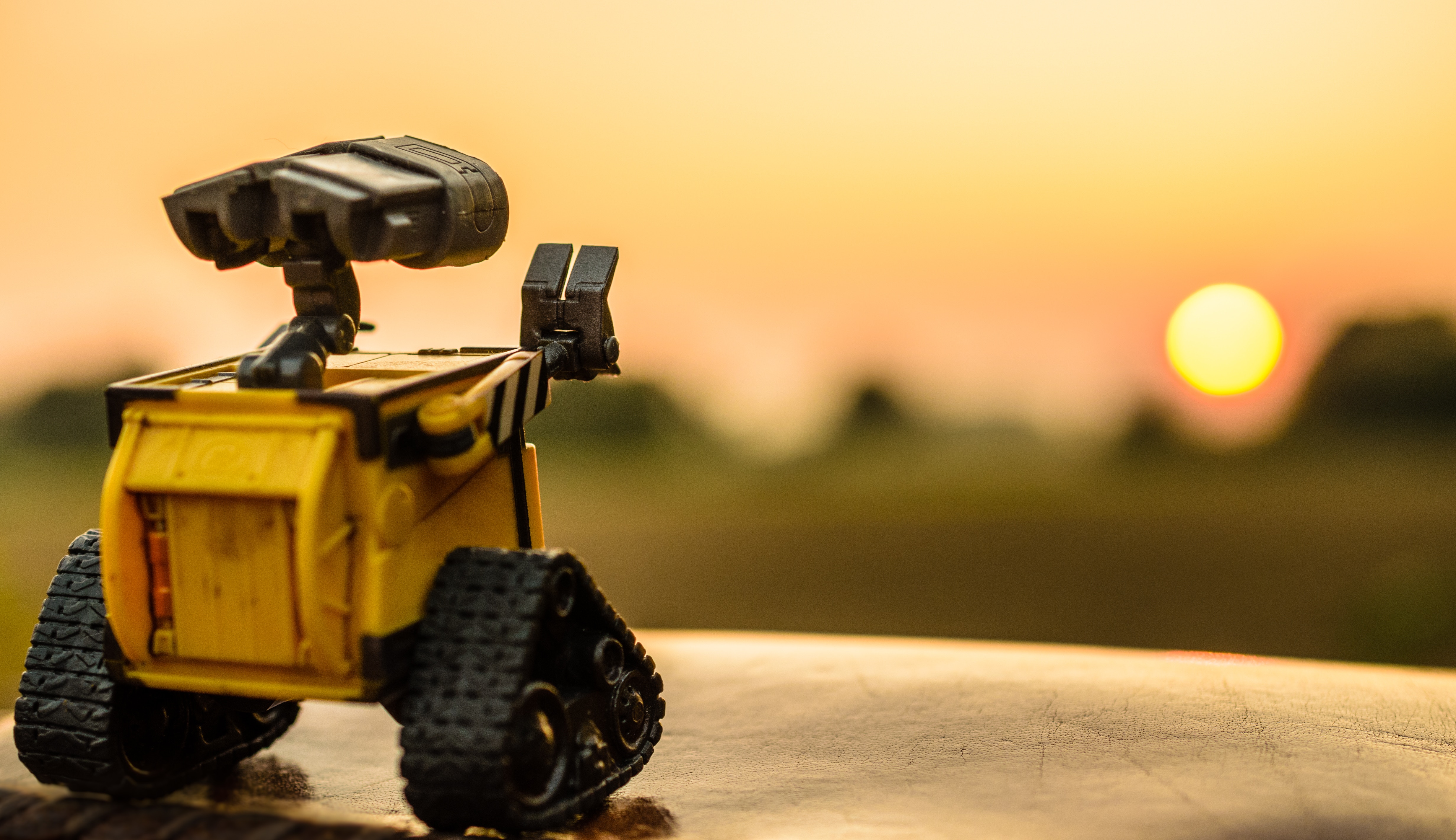 Wall-e looking at the sunset